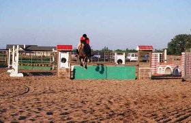 Our outdoor jumping arena has sand footing and built-in sprinklers.